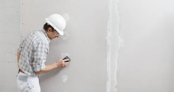 Reliable Princess Anne, MD Drywall and Painting Service Solutions